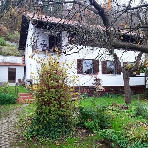 V Bistrici ob Dravi…