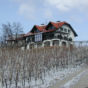 Luksuzni objekt z apartmaji