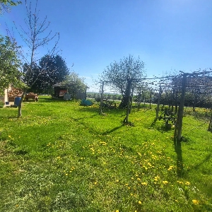 Cirkovce - Dragonja…